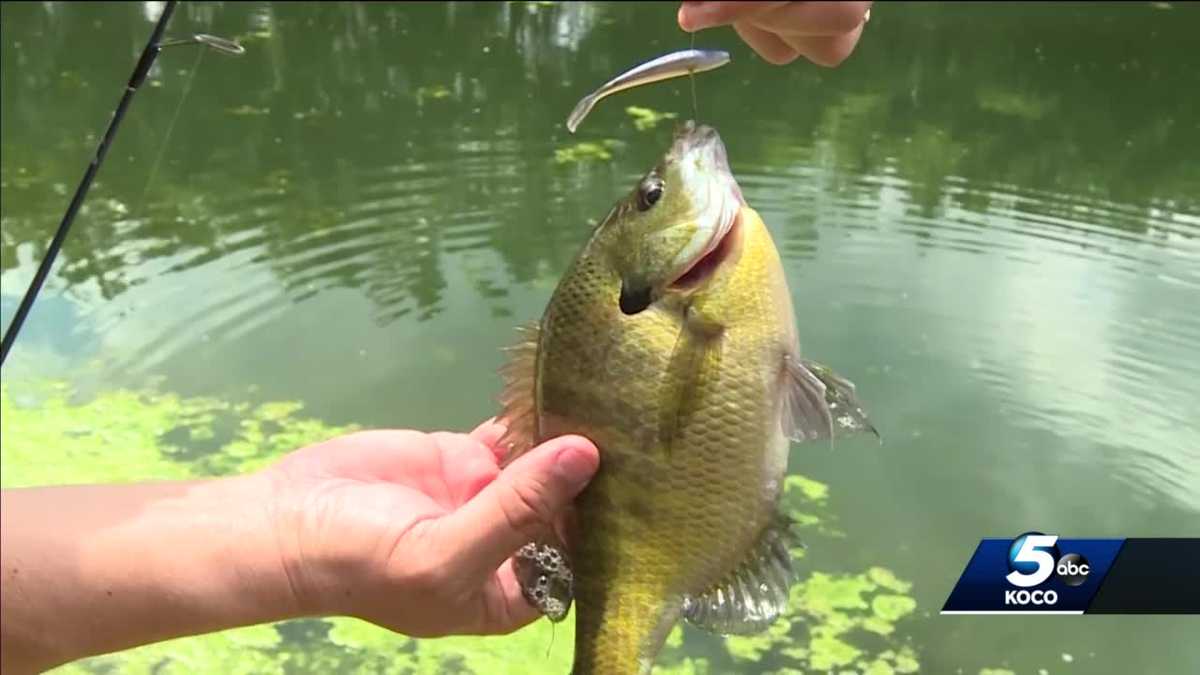 FREE FISHING Weekend is a good time to get hooked on fishing