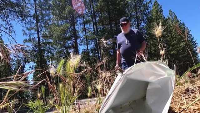 CommUNITY Champion: El Dorado County man picks up trash - Vimarsana News