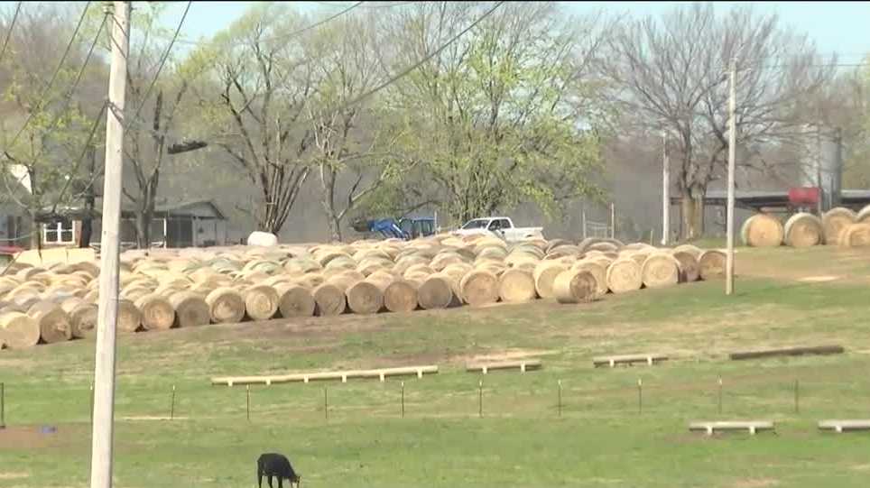 Prairie Grove ranchers collecting hundreds of hay rounds