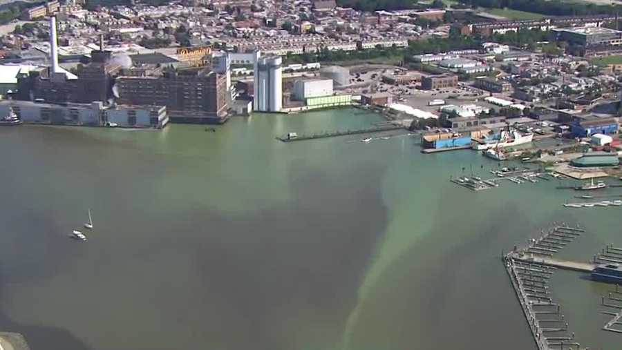 green water in inner harbor, pistachio tide
