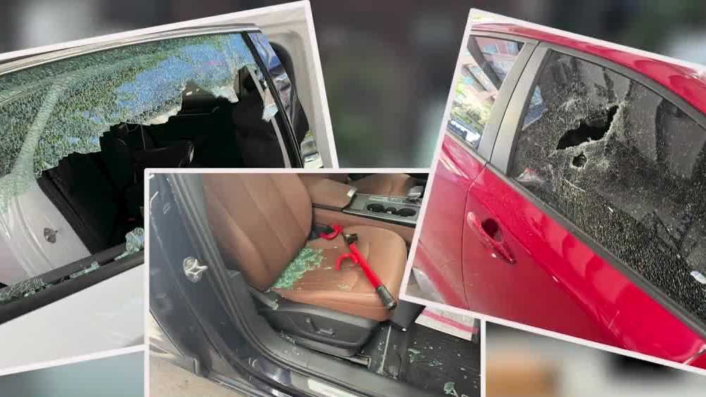 'The worst I've seen': Car windows smashed on Milwaukee's east side