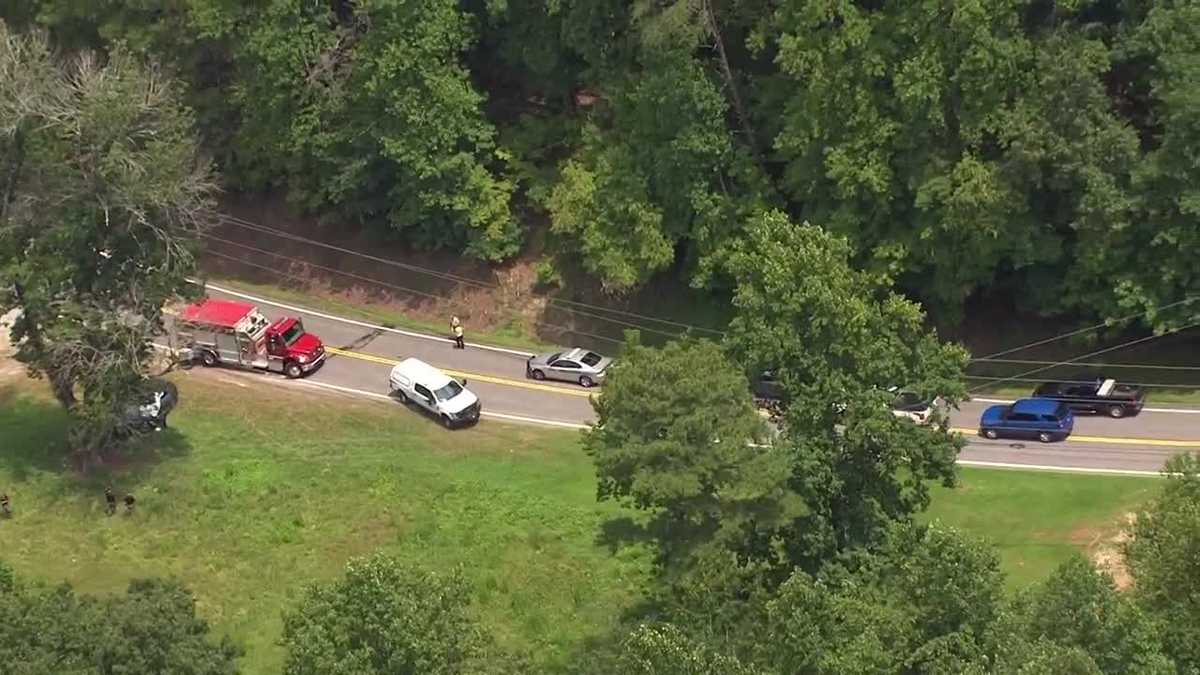 Upstate woman dies when vehicle hits tree - WYFF