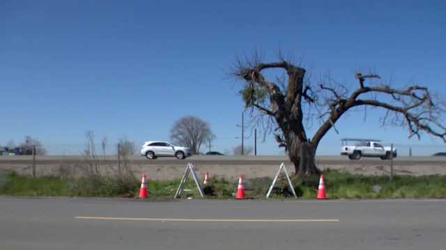 2 children, 3 adults killed in I-5 crash in San Joaquin County identified - Vimarsana News