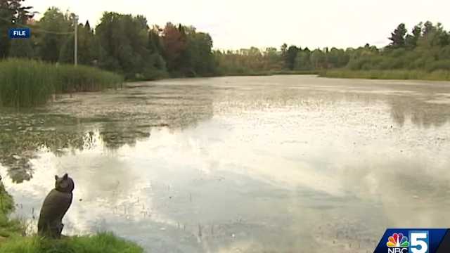 July flooding could cause more cyanobacteria blooms in future - Vimarsana News