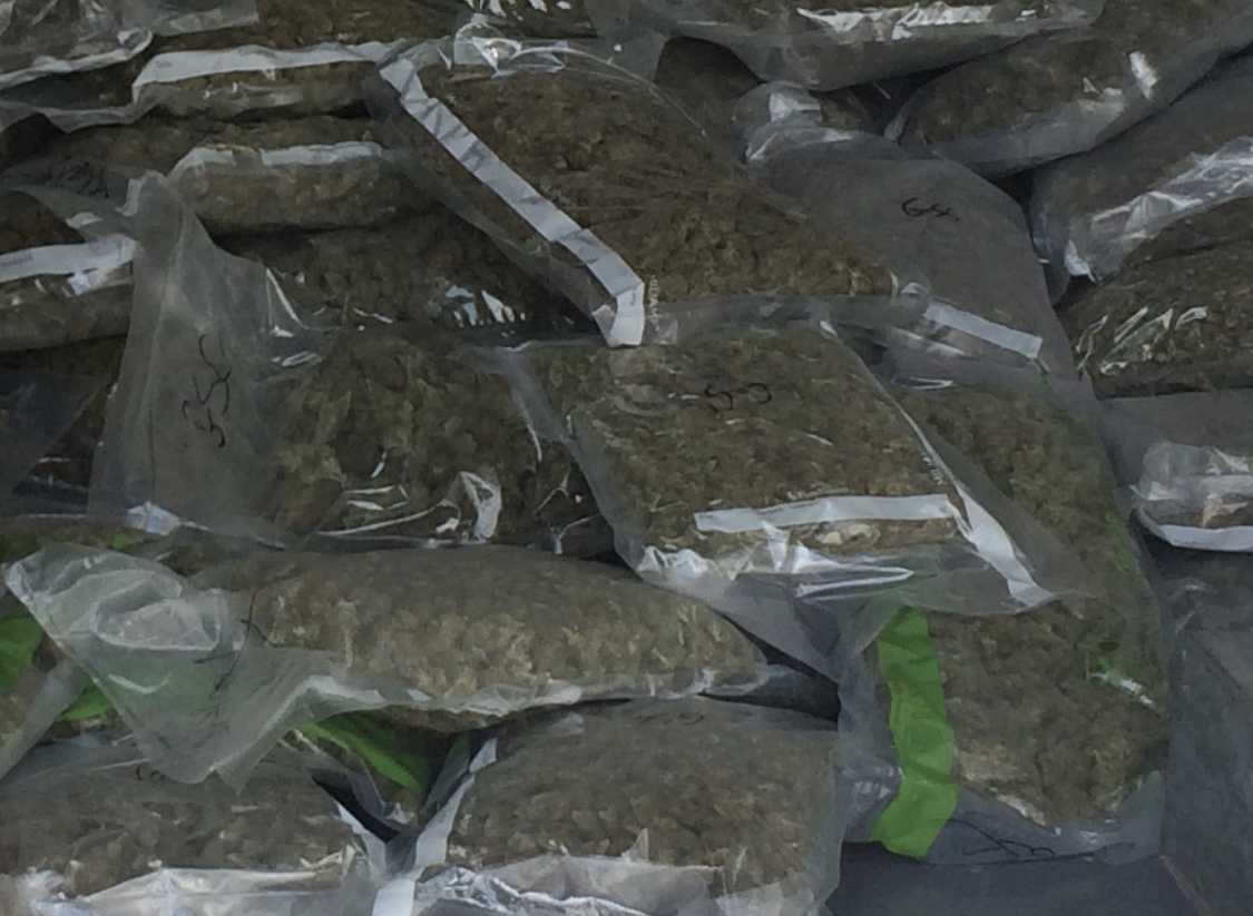 Almost 900 Pounds Of Marijuana Seized, Authorities Say