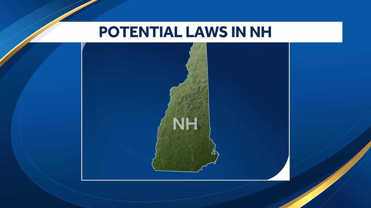 New Hampshire laws What could come in 2024