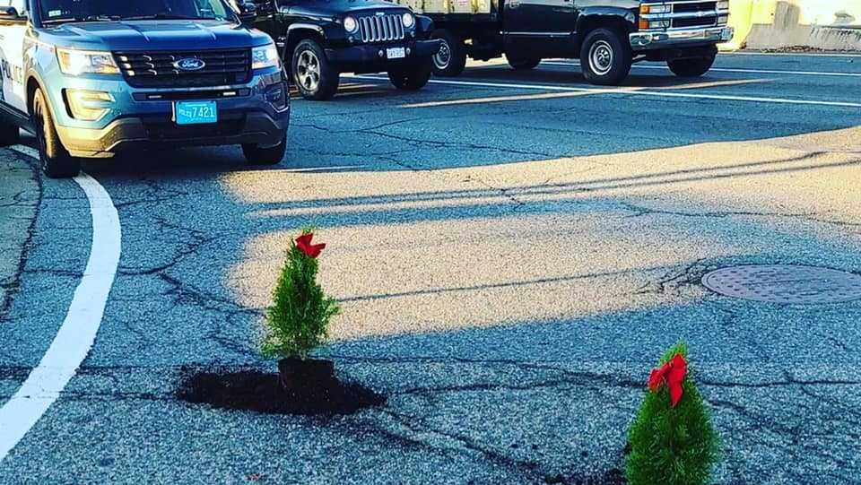 Someone filled these North Attleboro potholes with tiny Christmas trees