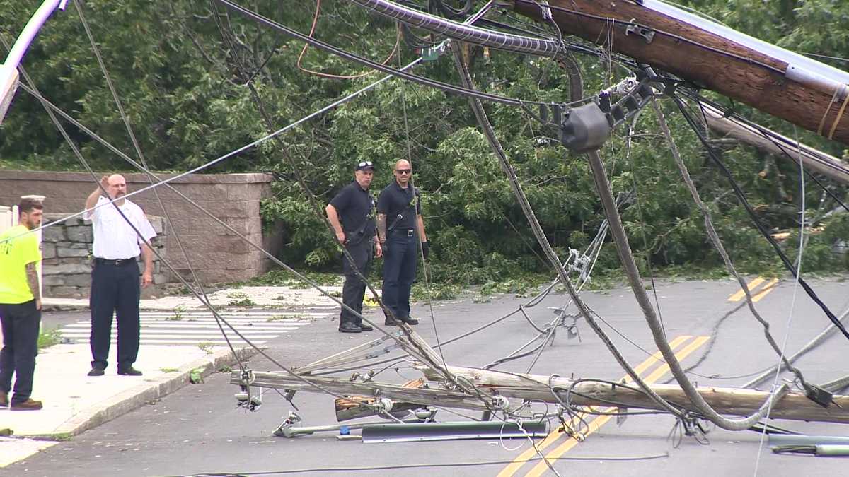 Massive tree rips down multiple utility poles, knocks out Lowell power