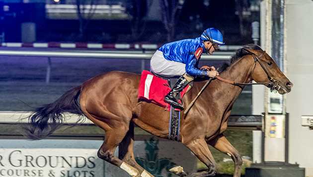 Nash Gun Runner Stakes Kentucky Derby points - Vimarsana News