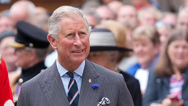 Image result for prince charles