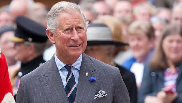 Image result for prince charles
