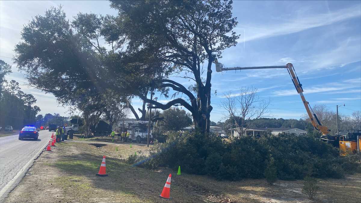 Happening now: Georgia Power removes roughly 300-year-old Chatham County live oak