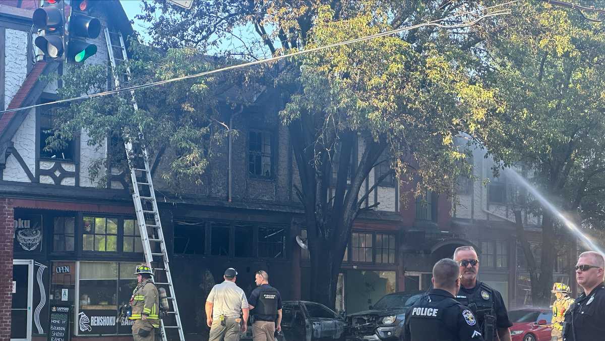 Person dead after car crashes into tree, catches on fire in Old Louisville