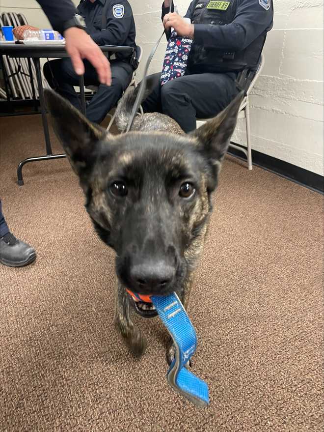 Windsor County Sheriffs Office K9 To Receive Body Armor Donation