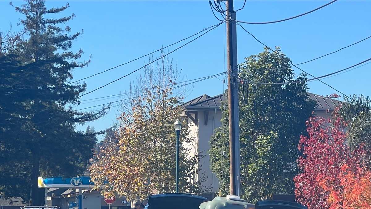 Update Suspect in custody following door to door search in Santa Cruz