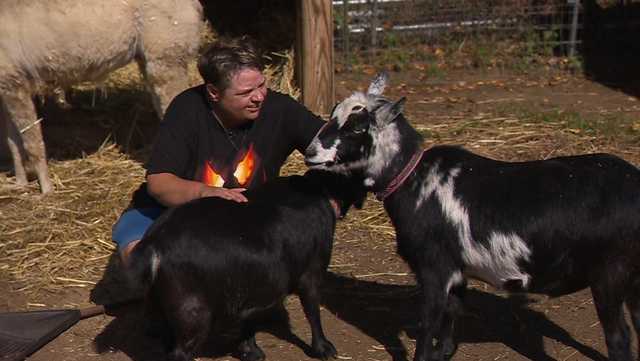 Innovative care farm program employs individuals with disabilities - Vimarsana News