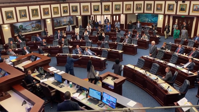 Protests erupt over vote to approve Florida congressional maps - Vimarsana News