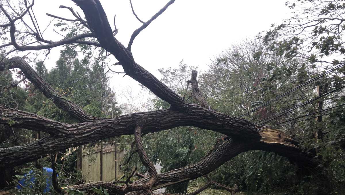 Images: Storm downs trees, power lines across Massachusetts