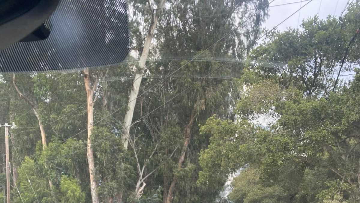 Roadway shut down as firefighters respond to vegetation fires in Prunedale