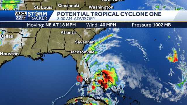 Georgia: Tropical development skirts coast, heads out to sea - Vimarsana News