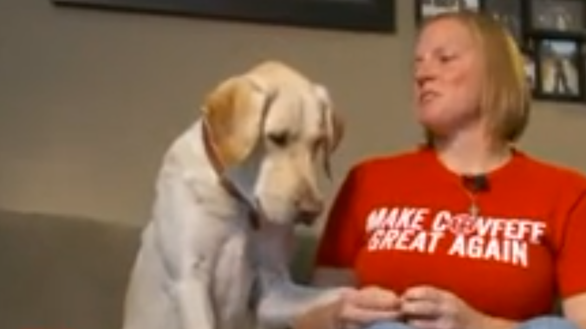 Veteran says she was kicked out of bar because of service dog