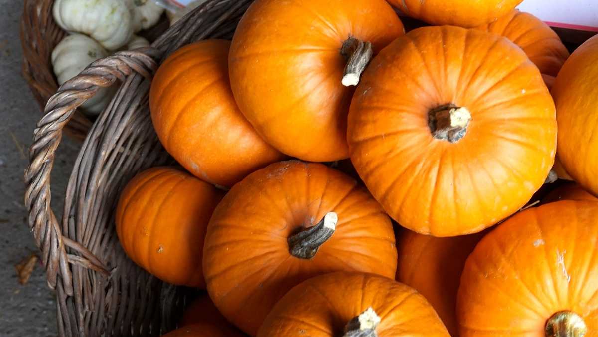 Fun things to do across South Florida