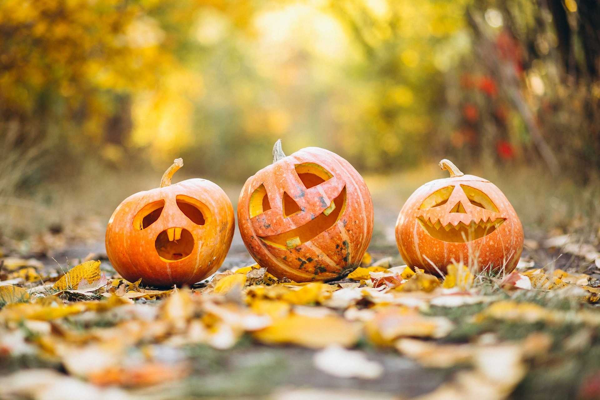 Rock N’ Fall Festival in Royal Palm Beach Oct. 23-24