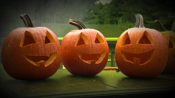 carved pumpkins