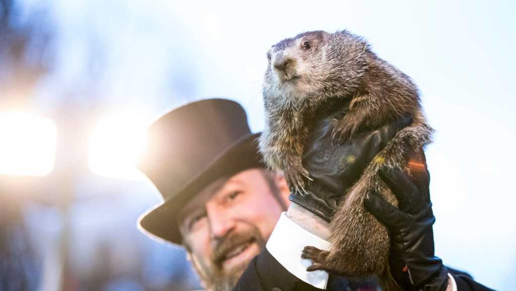 Punxsutawney Phil makes his 2019 Groundhog Day prediction