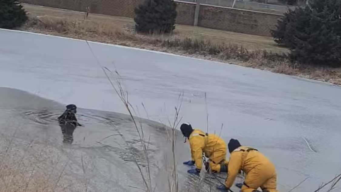 Omaha-area first responders help rescue dog from icy pond - KETV