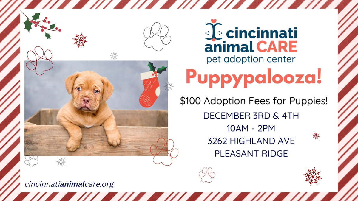 Cincinnati Animal Care hosts 'Puppypalooza' this weekend