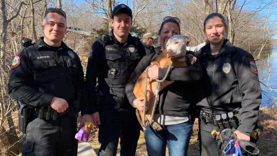 Police did not say how the puppy ended up in the well.