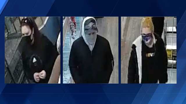 Pricey puppy stolen from Omaha pet store - Vimarsana News