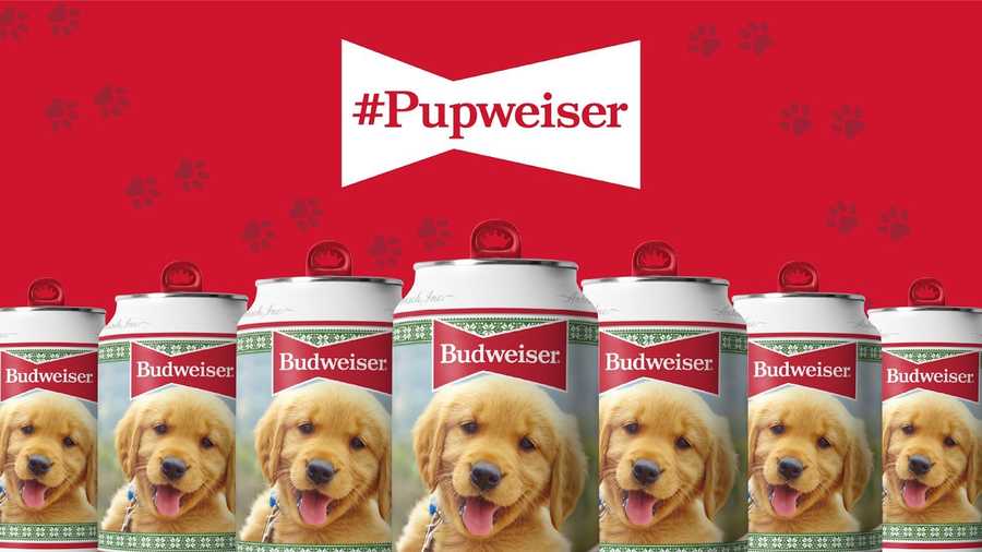 Budweiser's "Pupweiser" holiday cans could feature YOUR dog.