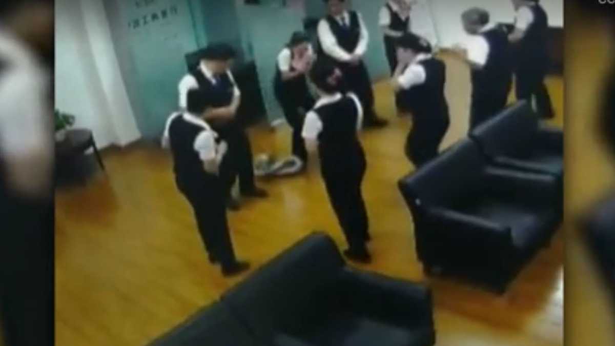 Watch: Python falls from ceiling of bank during staff meeting