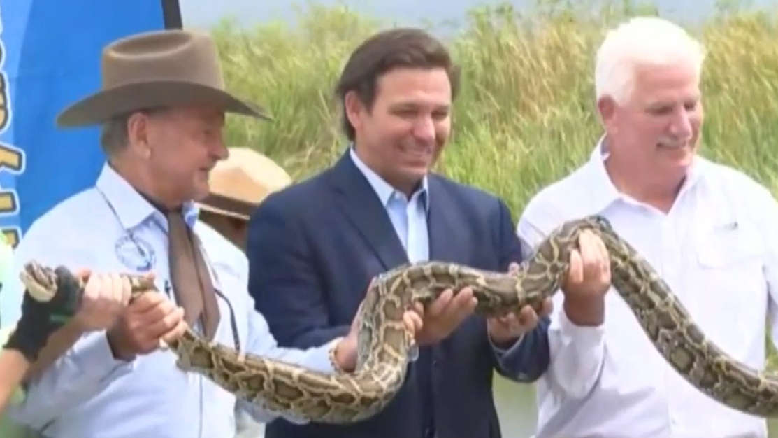 2021 Python Challenge in Everglades