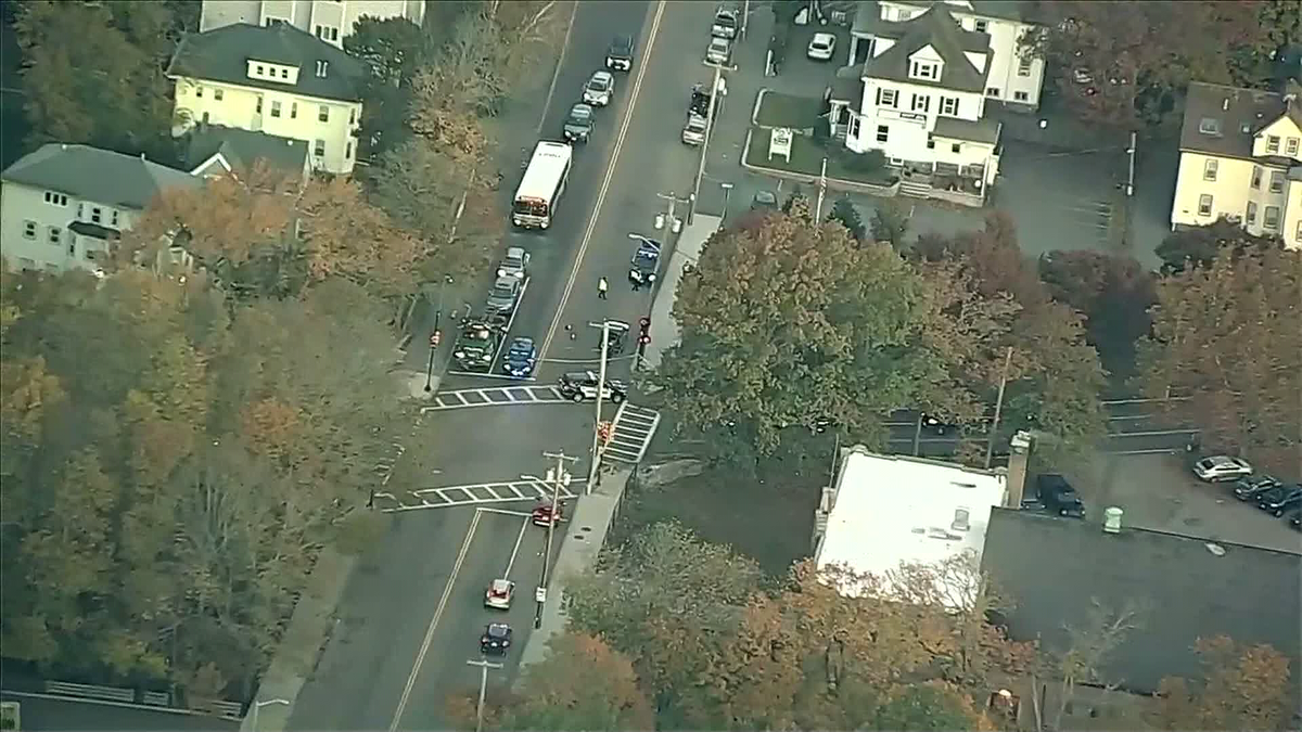 Pedestrian injured, dog killed in Quincy crash