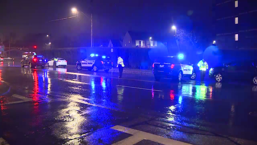 Pedestrian struck by vehicle, police say