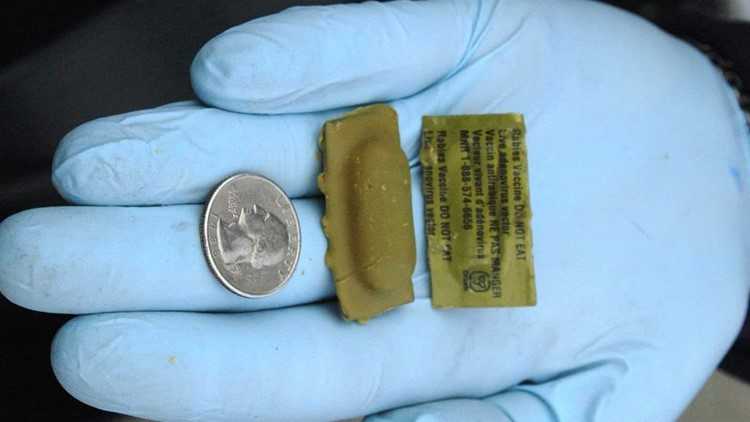 Rabies vaccines for wildlife distributed by air and truck in Alabama