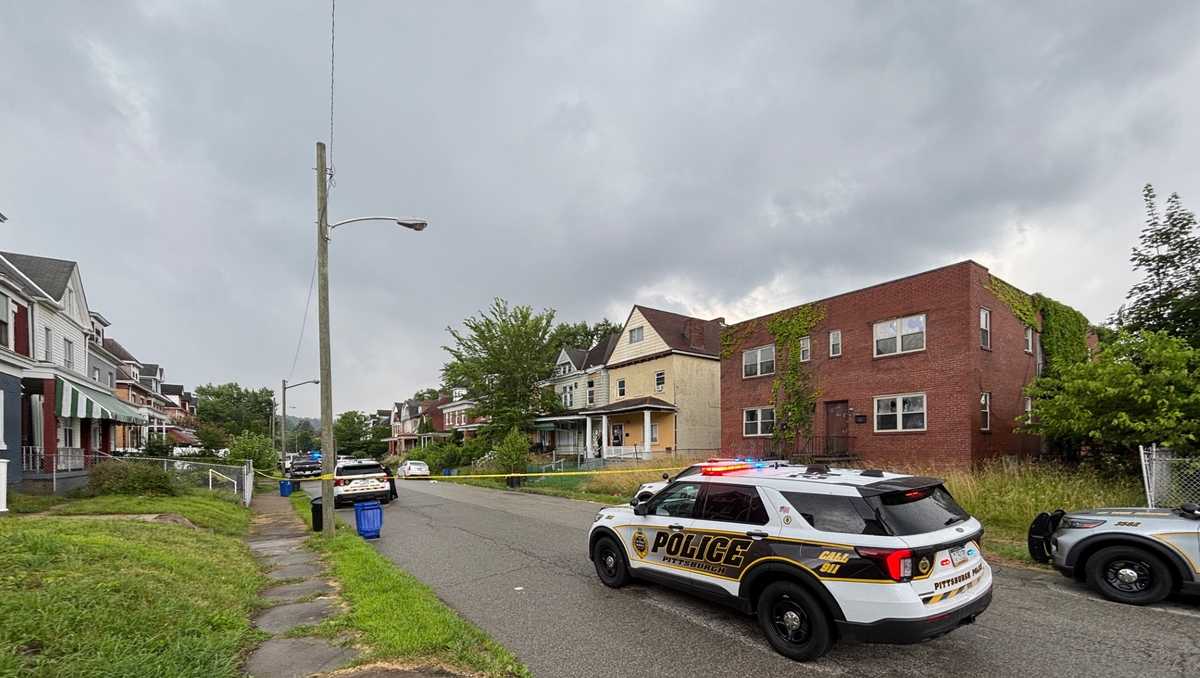 Shooting News Image