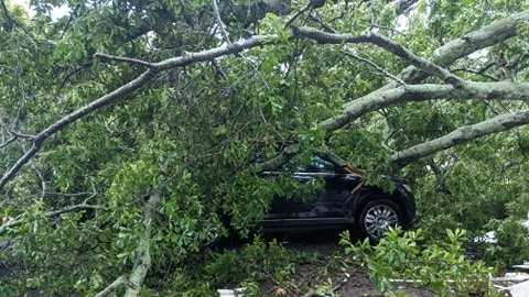 Pictures: Flooding, trees down across the area