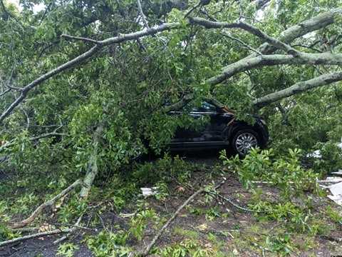 Pictures: Flooding, trees down across the area