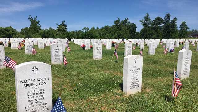 Memorial Day weekend: Find out what's going on - Vimarsana News