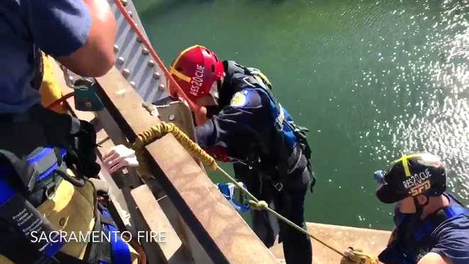 Man found dead under railroad bridge in American River