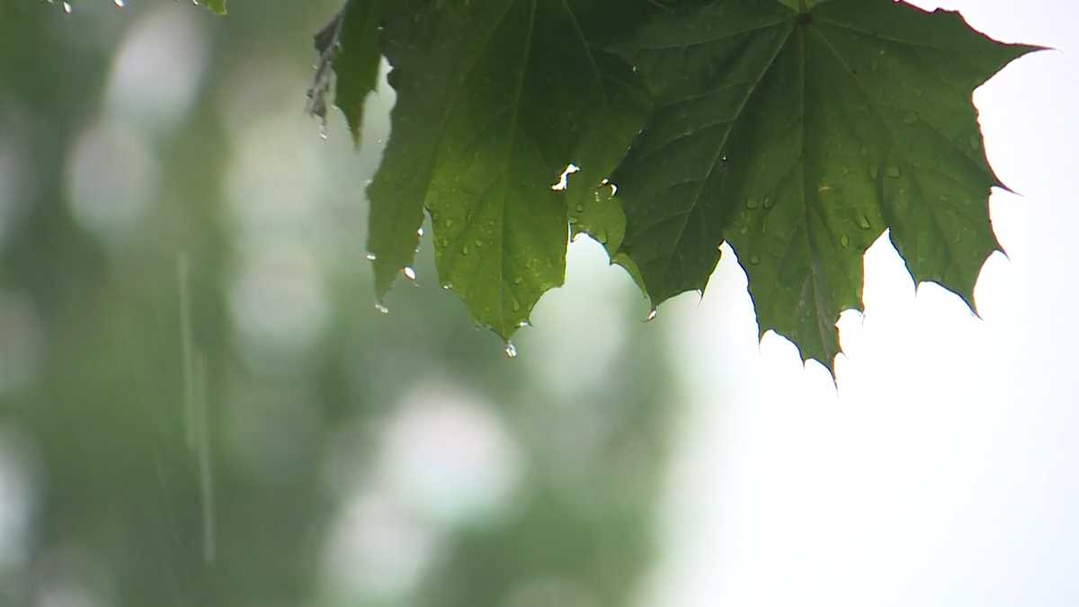 Town By Town Totals Parts Of Maine Have Seen Nearly 6 Inches Of Rain This Week 9142