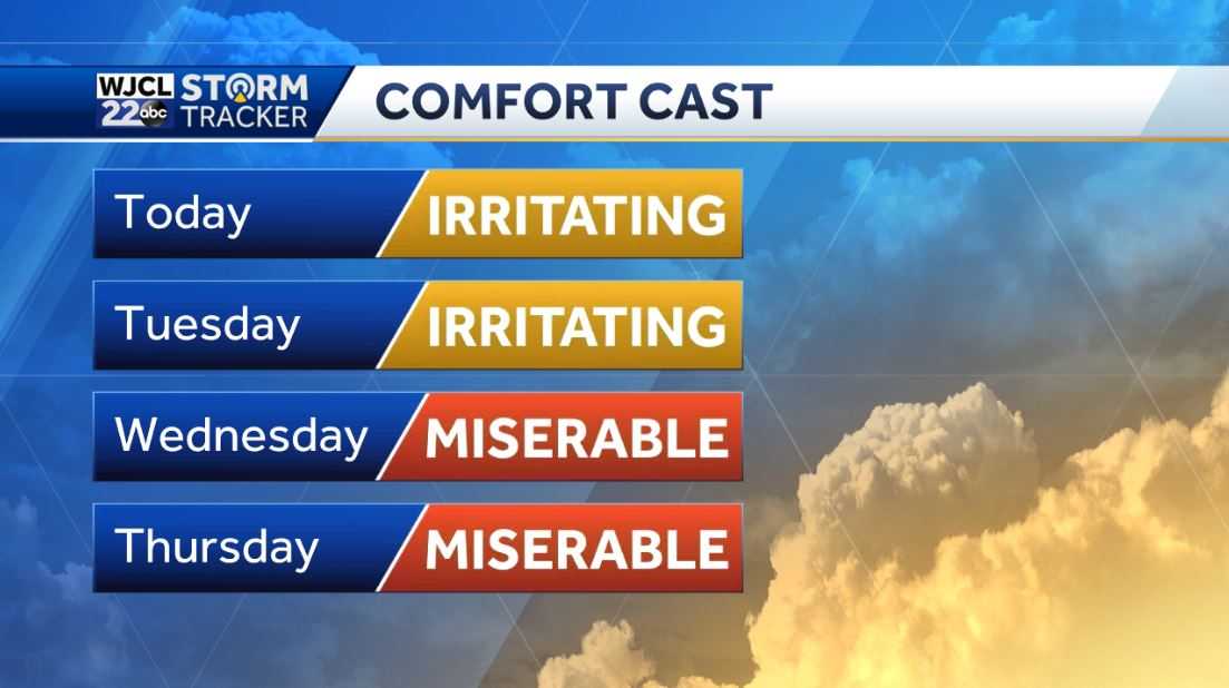 Shower or thunderstorm after 1 pm with strong storm possible - WJCL