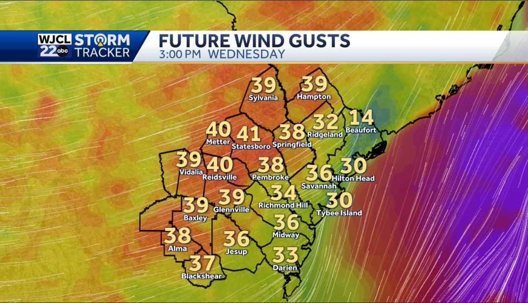 Severe thunderstorms possible for Coastal Georgia and Lowcountry - WJCL