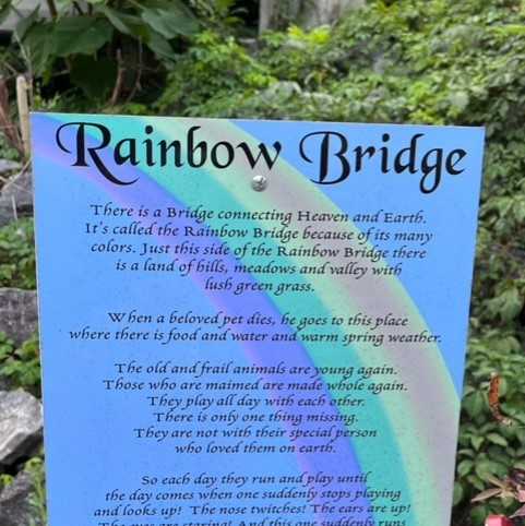 Rainbow Bridge for pets hidden in North Carolina mountain keeps pets ...