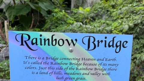 PHOTOS: Rainbow Bridge honors pets who passed away in North Carolina