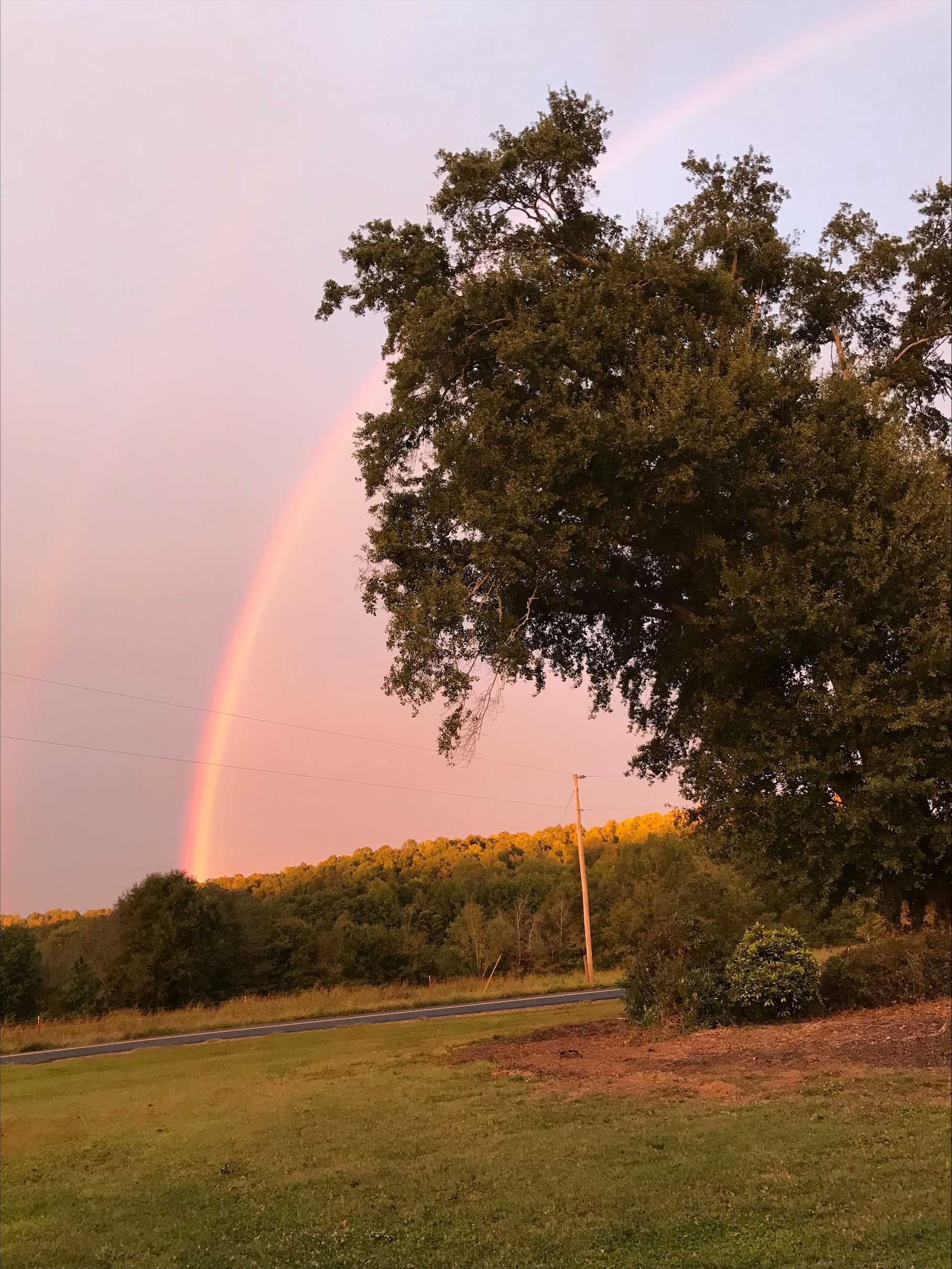 South Carolina: WYFF News 4 Viewers Share Images Of Ian